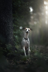 Similar image 21268934