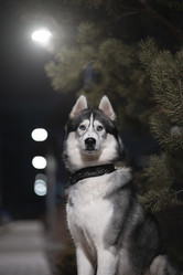 Similar image 21268947