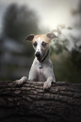 Similar image 21268967