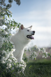 Similar image 21268970