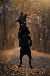 Similar image 21269793