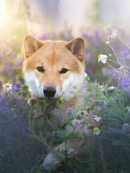 Similar image 21269797