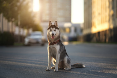 Similar image 21269798