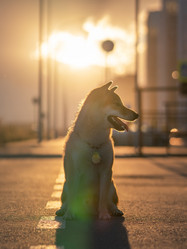 Similar image 21269799