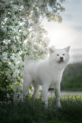 Similar image 21269801