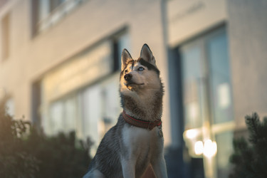 Similar image 21270065