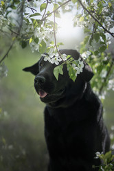 Similar image 21270066