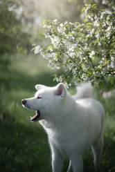 Similar image 21273953