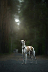 Similar image 21273954