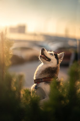 Similar image 21273956