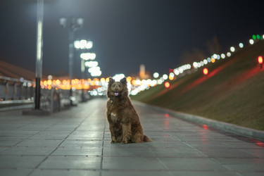 Similar image 21273961