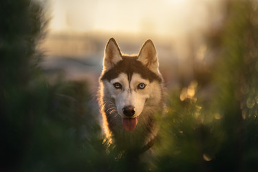 Similar image 21273962