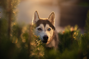 Similar image 21273964