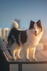 Similar image 21273966