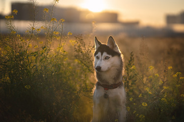 Similar image 21274071