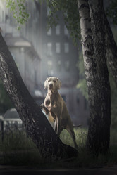 Similar image 21274073