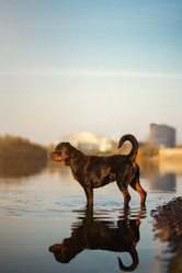 Similar image 21274074