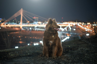 Similar image 21274107