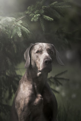 Similar image 21274108