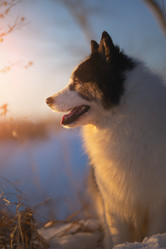 Similar image 21274298