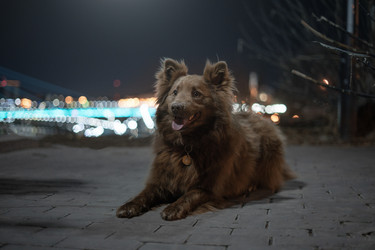 Similar image 21274299