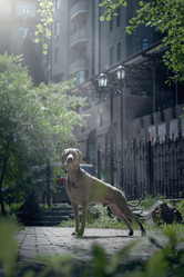 Similar image 21274302