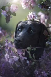 Similar image 21274303