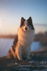 Similar image 21274306