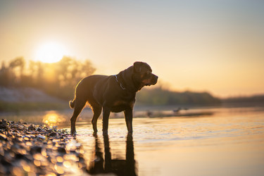 Similar image 21274309