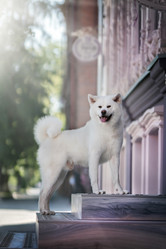 Similar image 21274310