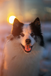 Similar image 21274312