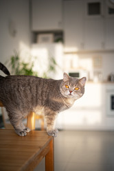 Similar image 21274315