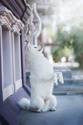 Similar image 21274316