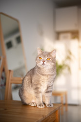 Similar image 21274317