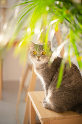 Similar image 21274319