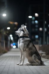 Similar image 21274322