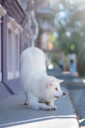 Similar image 21274324