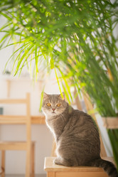 Similar image 21274325