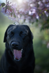 Similar image 21274326