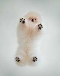 Similar image 21274327