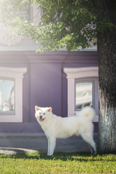 Similar image 21274328