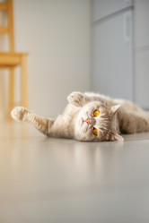 Similar image 21274329