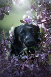 Similar image 21274333