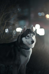 Similar image 21274335