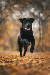 Similar image 21274336