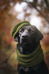 Similar image 21274339