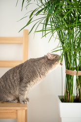 Similar image 21274340