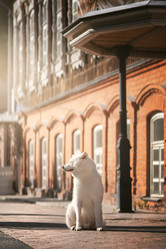 Similar image 21274346