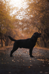 Similar image 21274347