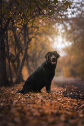 Similar image 21274348